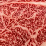 Macro marbling daging sapi premium dengan jaringan lemak putih rapat