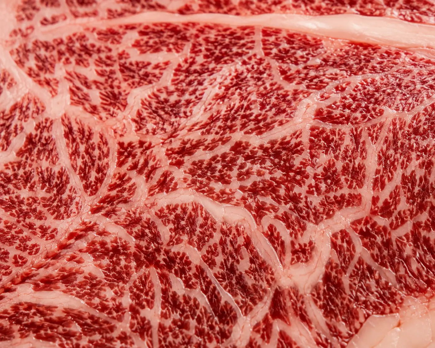 Marbled Beef, Panduan Lengkap Marbling Daging Sapi & Tips Memilihnya