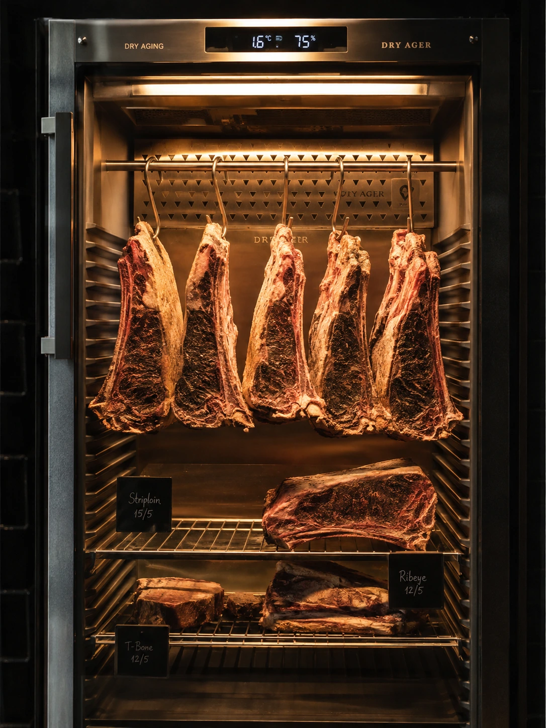 Dry Aged Beef, Panduan Lengkap Proses, Rasa, dan Cara Memilih yang Halal